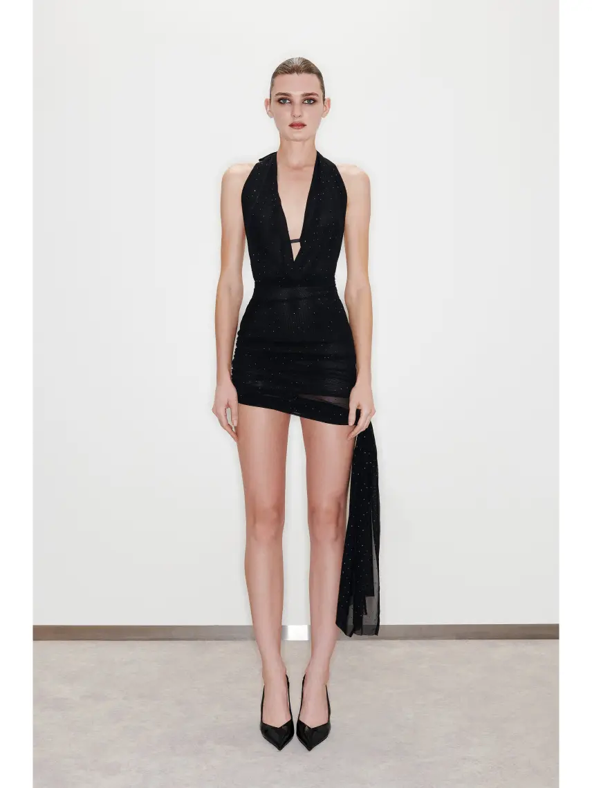 Roar THE FAITHFUL DRESS